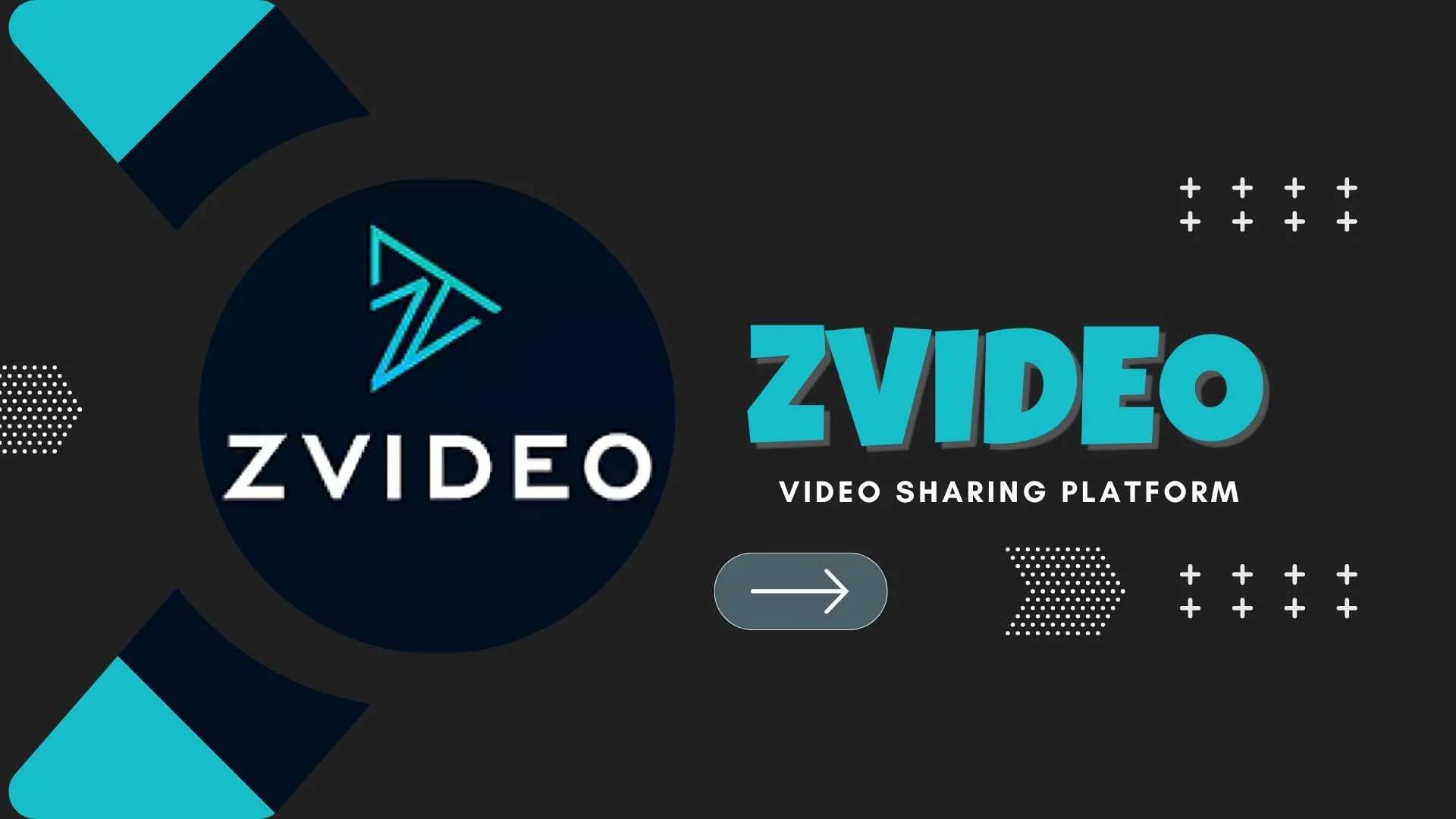 zVideo Company Profile: History, Revenue, Founders & Net Worth 2026